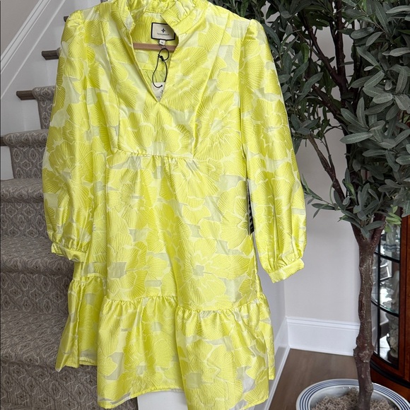 Tuckernuck Citron Fil Coupe Palmerston Dress - Picture 6 of 6